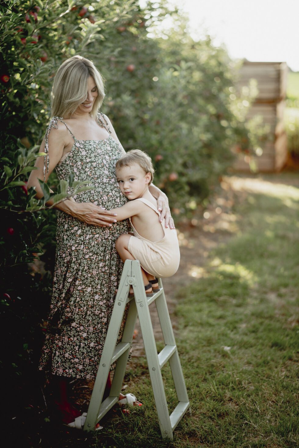 fotos embarazo lleida