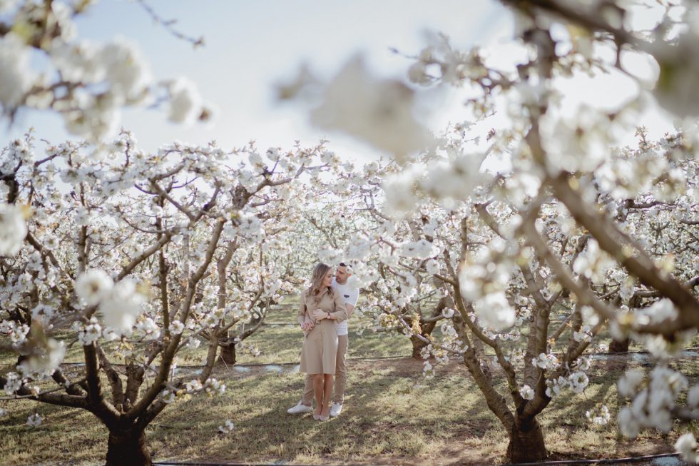prebodas_primavera_lleida